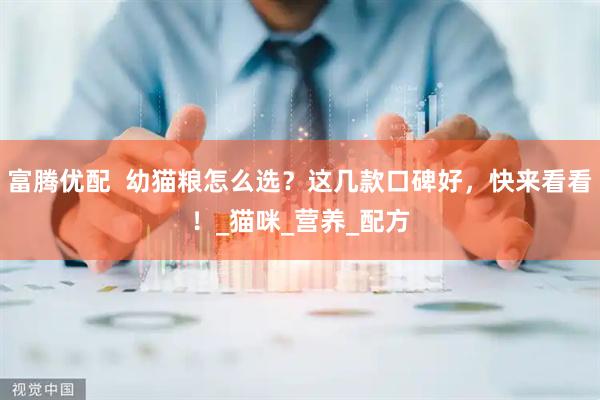 富腾优配  幼猫粮怎么选？这几款口碑好，快来看看！_猫咪_营养_配方
