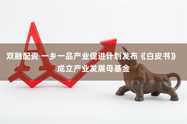 双融配资 一乡一品产业促进计划发布《白皮书》 成立产业发展母基金