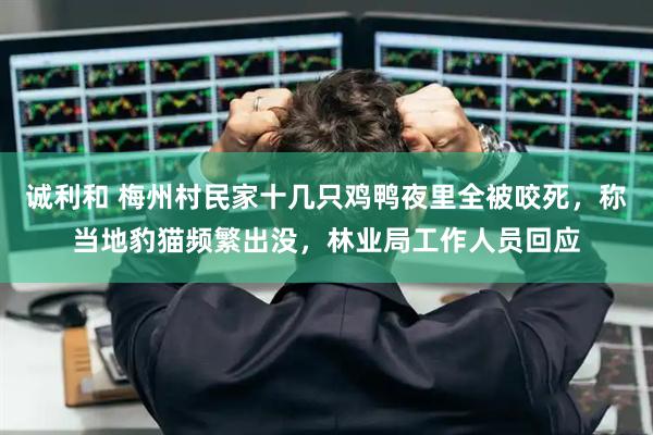 诚利和 梅州村民家十几只鸡鸭夜里全被咬死，称当地豹猫频繁出没，林业局工作人员回应